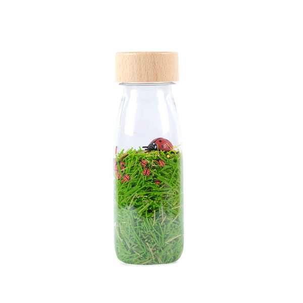 Un frasco de vidrio lleno de plantas verdes y tierra, una foto de stock por Sōami, ganador del concurso de Unsplash, arte ecológico, foto de stock, stockphoto, photoillustration.